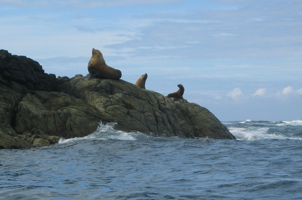 Gwaii Haanas 18